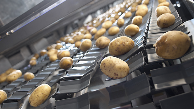 Celox Kartoffeln Celox Kartoffeln
