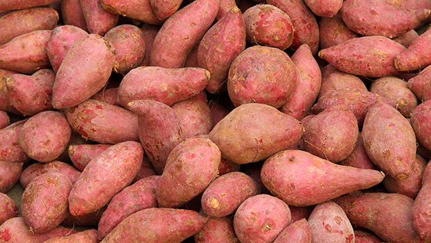 Patates douces suisses acheter Patates douces suisses acheter
